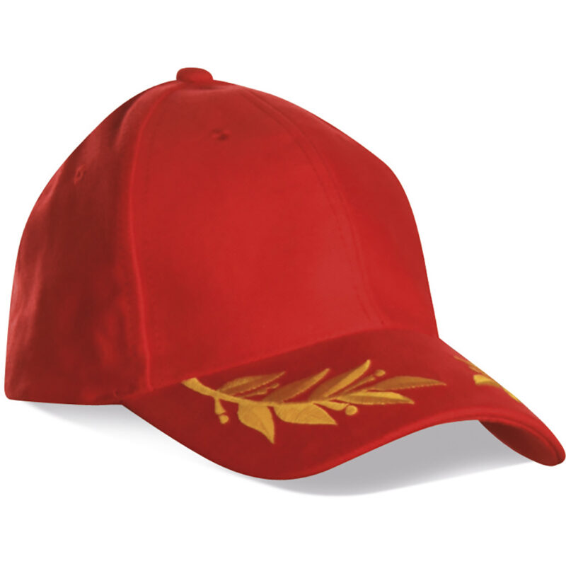 Cappellino 6 pannelli in 100% cotone
